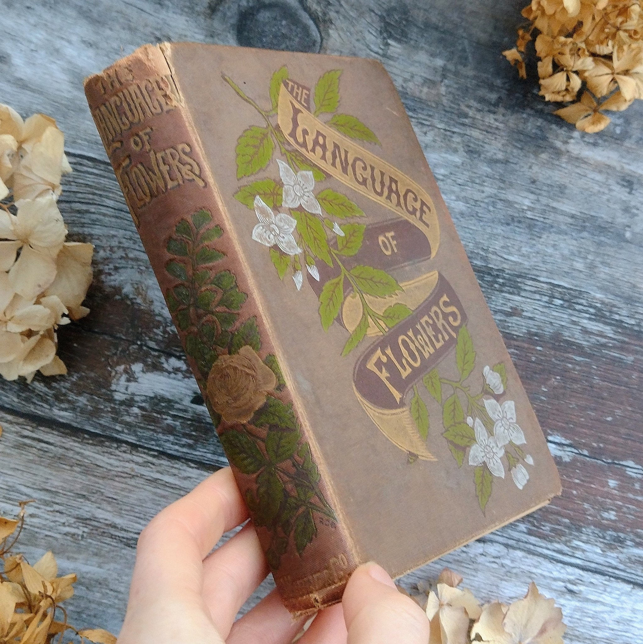 Language and poetry of Flowers, Antique Illustrated Book Owl and